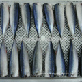 Frozen Gutted Tailed Pacific Mackerel HGT For Canned